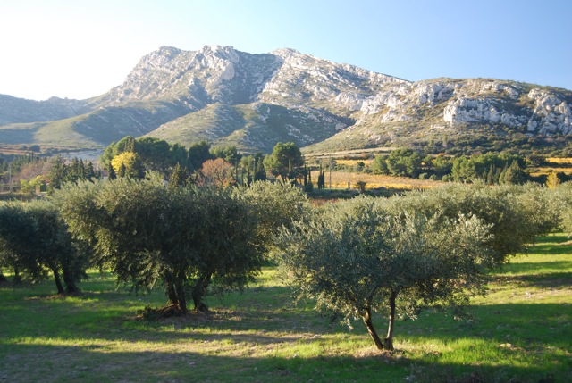 La Provence au Clos des Cyprès